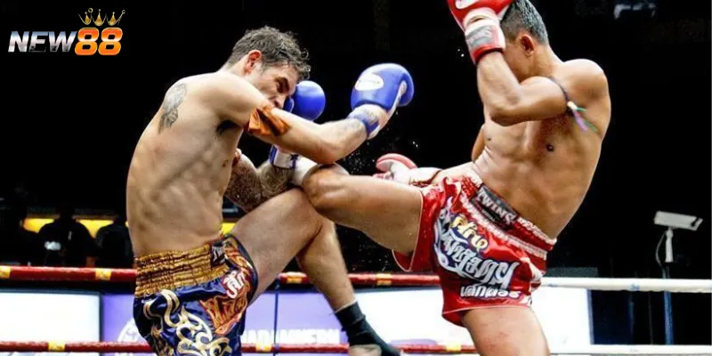 Mẹo cá cược quyền anh giúp bạn giành chiến thắng 