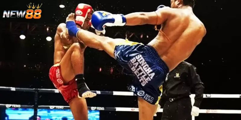 Các hình thức cược boxing đa dạng tại New88