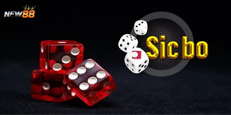 Các khái niệm và quy tắc cơ bản trong trò chơi Sicbo