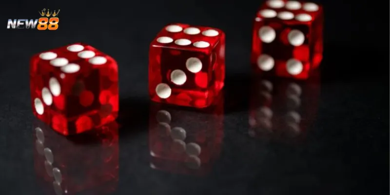 Tìm hiểu các loại cược và tỷ lệ thắng trong trò chơi Sicbo