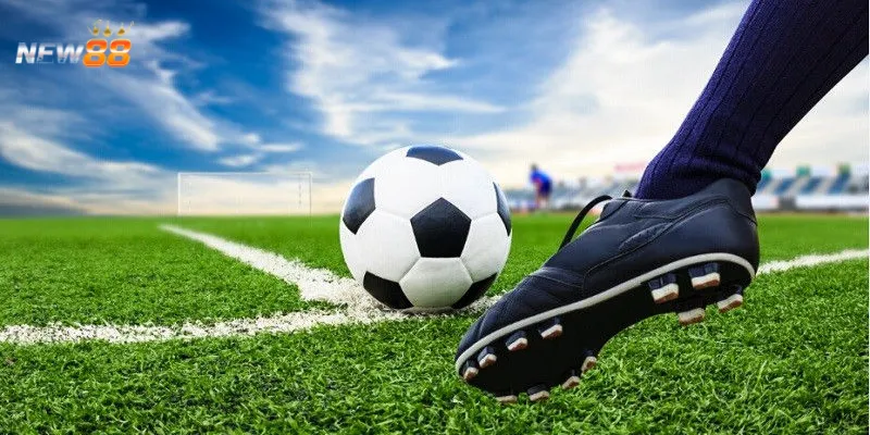 Cách theo dõi và phân tích kèo rung trước khi đặt cược