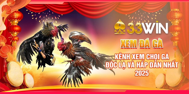 xem-da-ga-kenh-xem-choi-ga-doc-la-va-hap-dan-nhat-2025