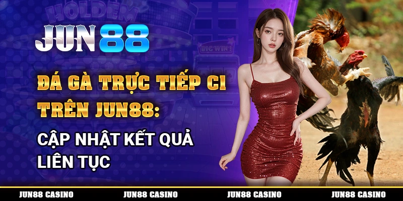 Đá Gà Trực Tiếp C1