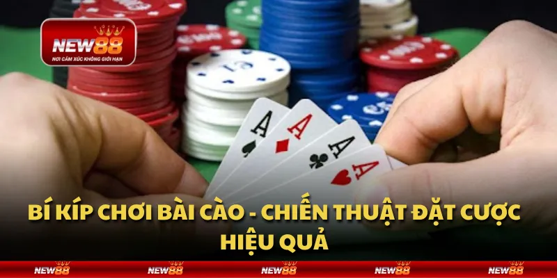 Bí kíp chơi bài cào - Chiến thuật đặt cược hiệu quả