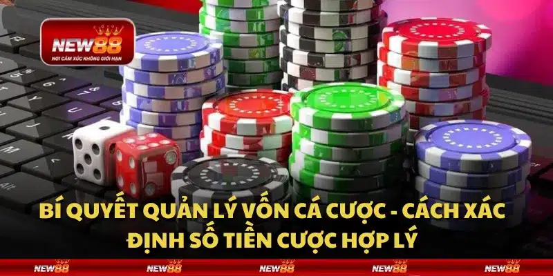 Bí quyết quản lý vốn cá cược - Cách xác định số tiền cược hợp lý
