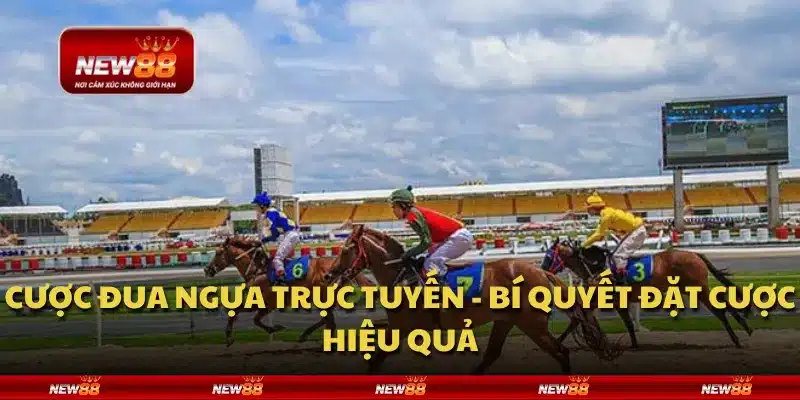 Cược đua ngựa trực tuyến - Bí quyết đặt cược hiệu quả