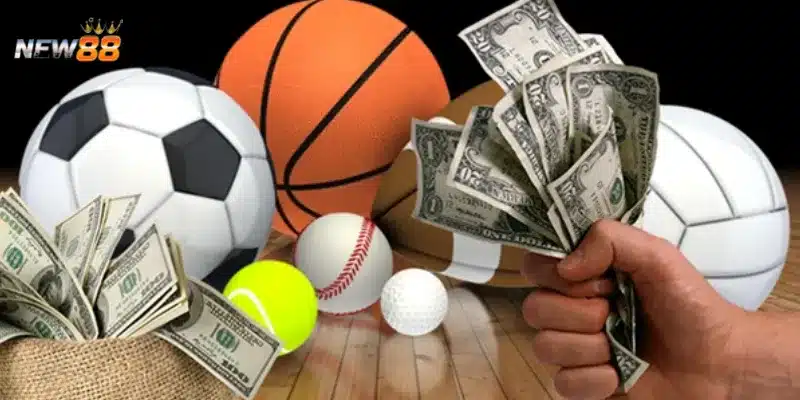 Các lỗi phổ biến trong việc quản lý vốn cá cược