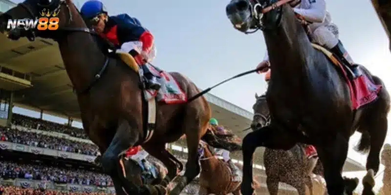 Tìm hiểu luật chơi đua ngựa online mà bạn nên biết