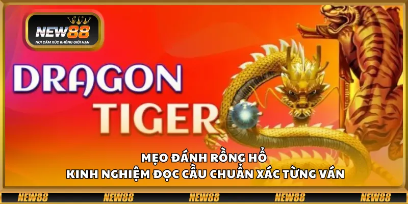 Mẹo đánh Rồng Hổ – Kinh nghiệm đọc cầu chuẩn xác từng ván