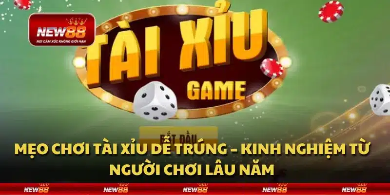 Mẹo chơi Tài Xỉu dễ trúng – Kinh nghiệm từ người chơi lâu năm