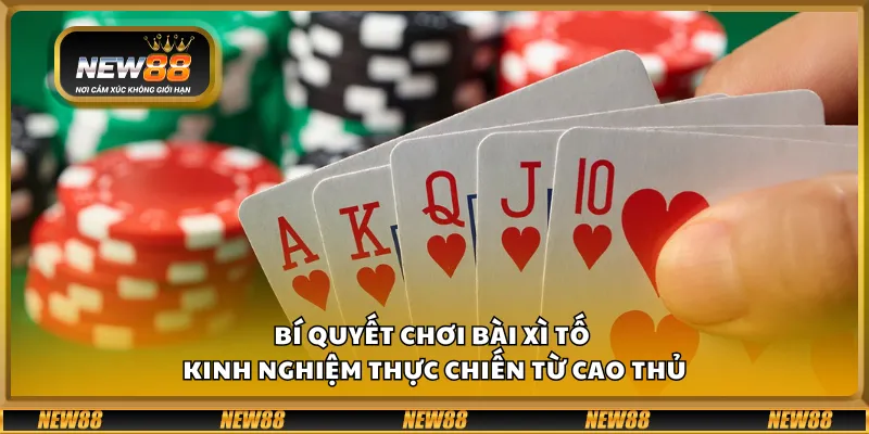 Bí quyết chơi bài xì tố – kinh nghiệm thực chiến từ cao thủ