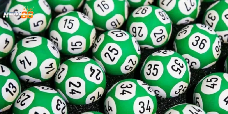 Bí quyết nuôi dàn đề 30 số không rủi ro, dễ về