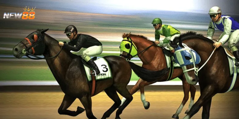 Các loại kèo phổ biến khi cá cược đua ngựa