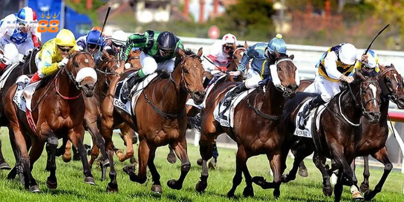 Mẹo thắng đua ngựa mà bạn nên nắm rõ là gì?