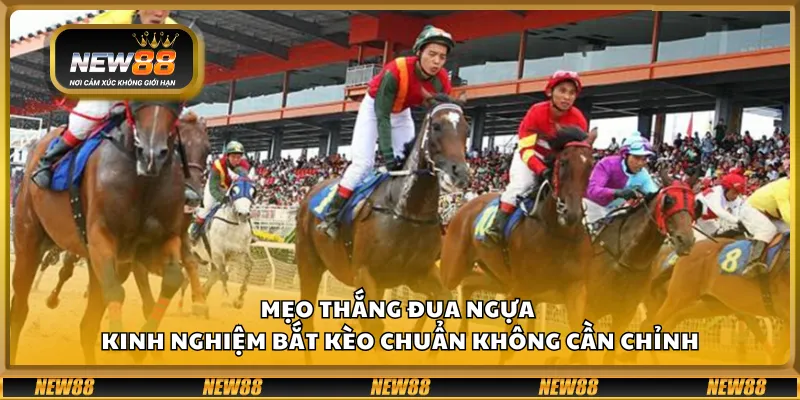 Mẹo thắng đua ngựa – Kinh nghiệm bắt kèo chuẩn không cần chỉnh