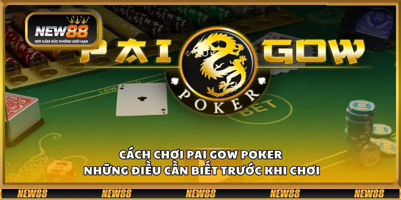 Cách chơi Pai Gow Poker – Những điều cần biết trước khi chơi