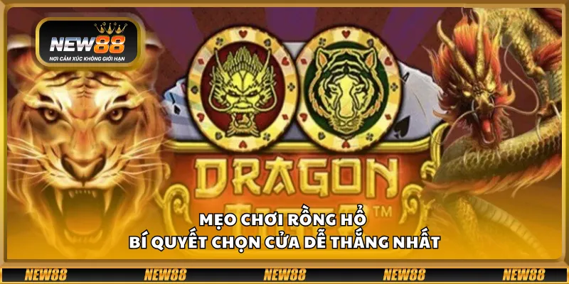 Mẹo chơi Rồng Hổ – Bí quyết chọn cửa dễ thắng nhất