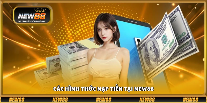 Những phương thức thanh toán được hỗ trợ tại New 88
